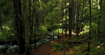 1448735-hd_1366_720_24fps