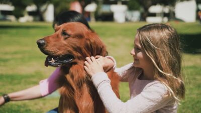 7516651-hd_1280_720_30fps