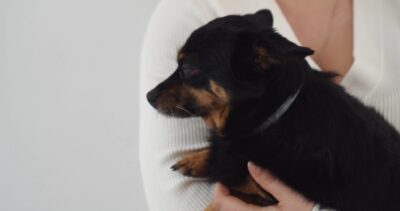 5751501-hd_1366_720_25fps