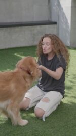 7197660-hd_720_1280_50fps