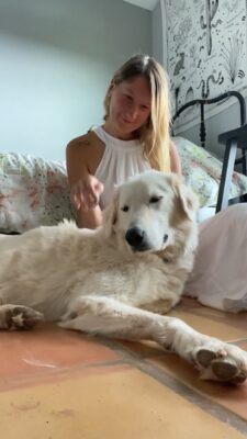 16168331-hd_720_1280_60fps