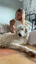 16168331-hd_720_1280_60fps