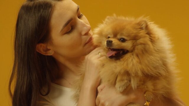 7684007-hd_1280_720_25fps