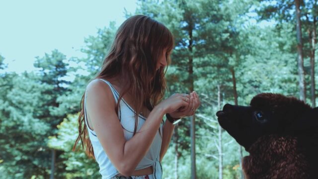 4717659-hd_1280_720_25fps