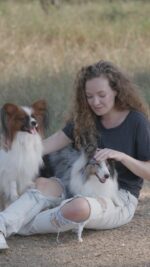 7197710-hd_720_1280_50fps