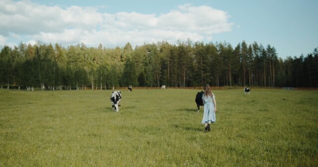 4919748-hd_1366_720_25fps