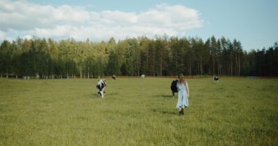 4919748-hd_1366_720_25fps