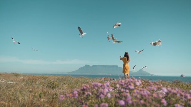 5614884-hd_1280_720_25fps