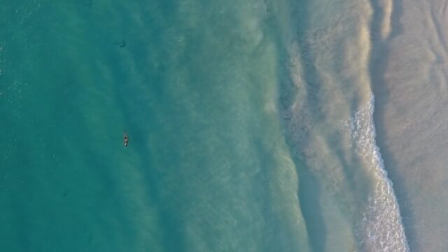 853863-hd_1280_720_25fps