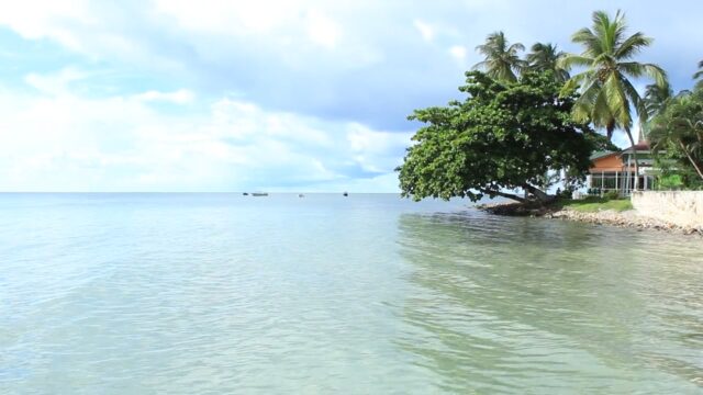 1481915-hd_1280_720_24fps