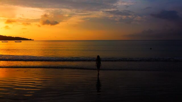 6981408-hd_1280_720_25fps