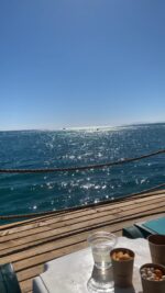 91A3BD22-661B-4914-8F30-51FD266FEEB9