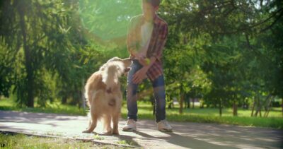 3191251-hd_1366_720_25fps