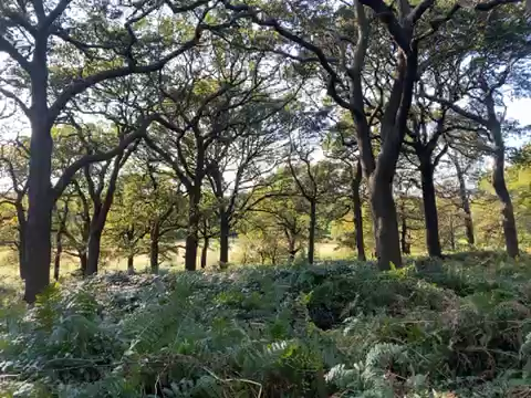 75034933276__53D39561-81F4-493D-B6E4-79AD16D3C05B