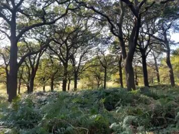 75034933276__53D39561-81F4-493D-B6E4-79AD16D3C05B