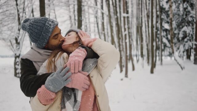 6502990-hd_1280_720_25fps