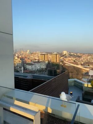 75622228080__1FDB49F0-9B6A-4287-8601-352AE7ACB299