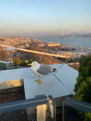 75622322047__20215605-9BE8-40A4-AC1F-1294071826C6