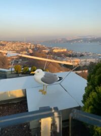 75622322047__20215605-9BE8-40A4-AC1F-1294071826C6