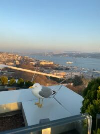 75622325281__60DA61A5-11C0-4293-A5A2-4B74DFBB6DED