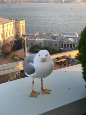 75622330672__4D8EE65B-9D19-483C-83EF-86E6BD33E55E