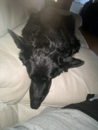 76490722807__FD84E542-3748-4752-9C4A-5B82F66FB481