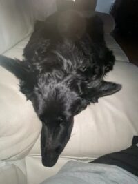 76490748877__734A8644-E605-4BEA-AFA2-E69769ACD0F2