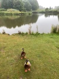 74694943855__0A87C618-61AD-475C-8B3B-106FF001BDBE