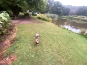 74694952205__99FC9C7D-D947-4166-BF9D-DF2EAB07A9D5