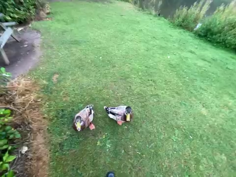 74694962098__47EDF499-39B8-42FF-992C-8A2FE575DD48