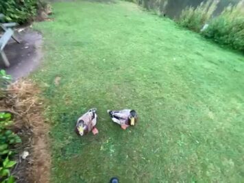 74694962098__47EDF499-39B8-42FF-992C-8A2FE575DD48