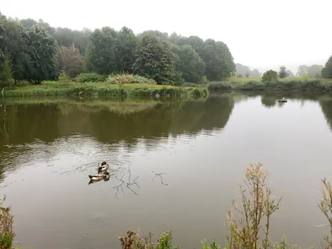 74694991175__25D4AF84-2D5F-4796-B1E3-1B2280F6B9BC