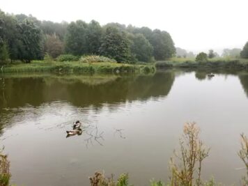 74694991175__25D4AF84-2D5F-4796-B1E3-1B2280F6B9BC