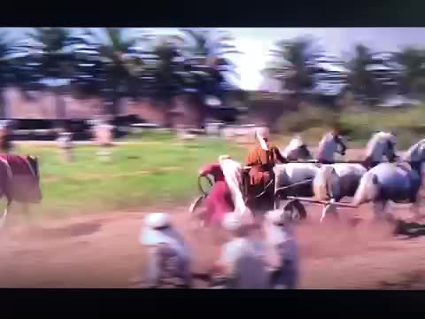 74679669006__346469B2-A123-4BF9-A8CA-69ED0539830F