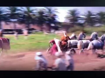 74679669006__346469B2-A123-4BF9-A8CA-69ED0539830F